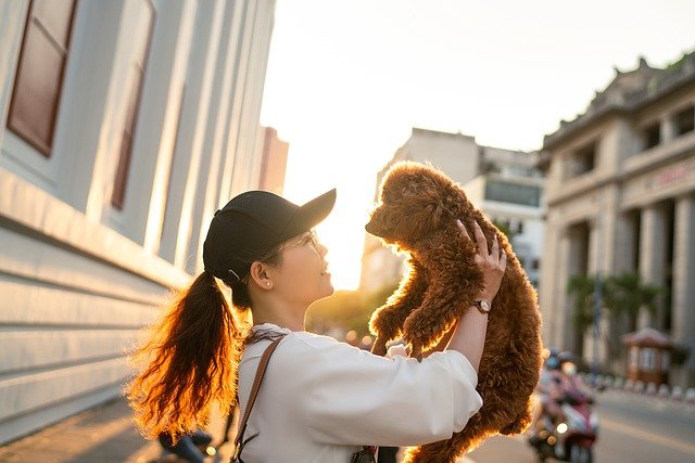 M彼氏は女性にとって好都合