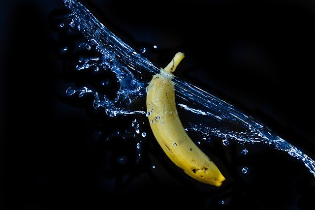 竿ってどこの事